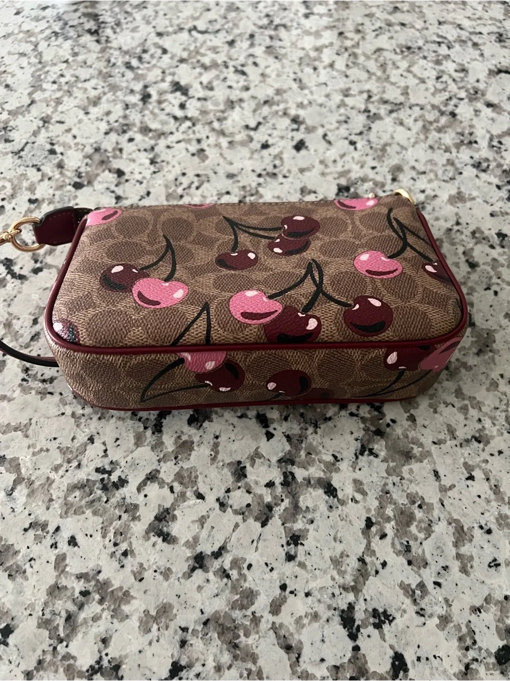 COACH Nolita 19 In Signature Canvas With Cherry Print Pre Owned